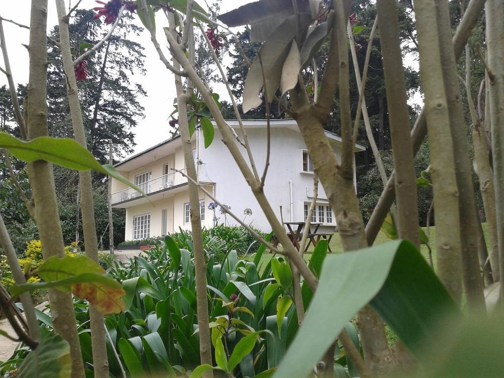 نوفارا إيلِيا Park View Guest House المظهر الخارجي الصورة